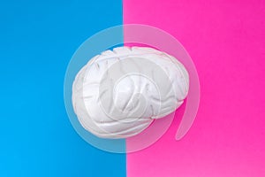 Anatomical shape of brain is located in middle of frame, divided by half by pink and blue background. Concept of gender features o