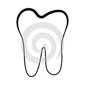 Anatomical shape of dental dentin enamel pulp, vector structure of teeth with logo for dental clinic