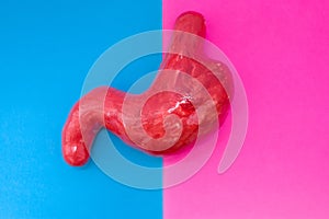 Anatomical shape of stomach is located in middle of frame, divided by half by pink and blue background. Concept of gender features