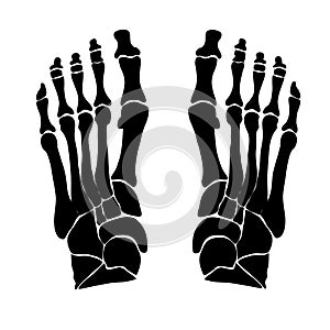 Anatomical structure of the bones of the foot. Black silhouette. Vector illustration.