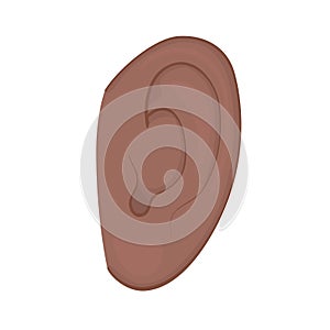 Anatomy_African American and indian ear on white background