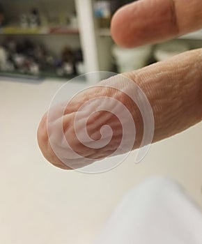 Anatomy of the body: Wrinkly finger by water with detail of the fingerprint