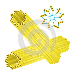 Anatomy of centriole.