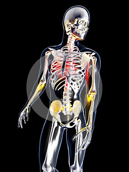 Anatomy - Chest Pain photo