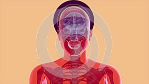 Anatomy concept of facial recognition
