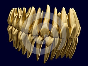 Anatomy correct occluded dental arch made of gold or brushed gilt metal. 3D illustration of the human dental arches