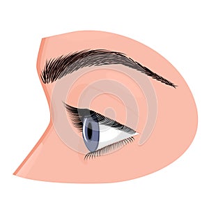 Anatomy_Eye side view