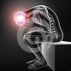 Anatomy of head pain in male