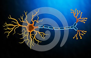 Anatomy illustration of Human Brain Neuron