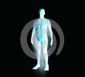 Anatomy of male muscular system. Blue human wireframe hologram.