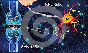 Anatomy neyron cells. Transmission signal of impulse in a living organism. Signaling in the brain. Neural connections in