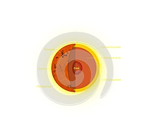 Anatomy of the Sun, The sun is basically a giant ball of gas and plasma