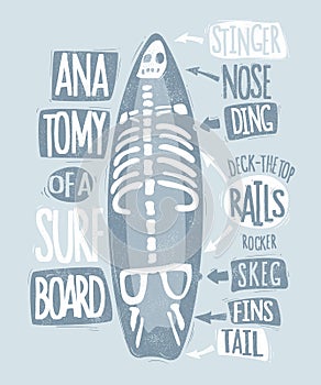 The anatomy of a surfboard t-shirt design