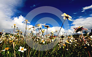 Ancestor tower prairie scenery