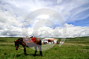 Ancestor tower prairie scenery