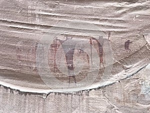 Ancestral Puebloan - Anasazi - petroglyph