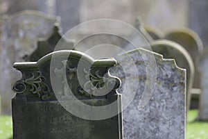 Ancestry. Ghostly graveyard headstones.