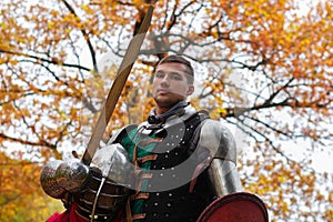 Ancestry tree royal knight historic legend medieval sword