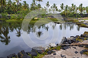 Anchialine pool at puuhonua o honaunau