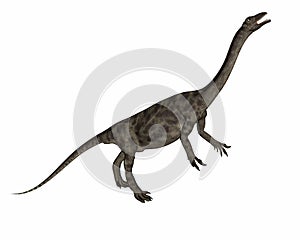 Anchisaurus dinosaur -3D render