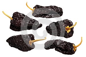 Ancho mulato-dried Poblano chiles, paths