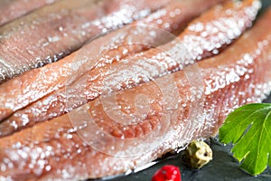 Anchois fisch fillet in oil closeup