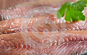 Anchois fisch fillet in oil closeup