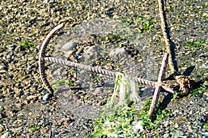 Anchor and algae on a sea bed during low tide in Castro, Chiloe island, Chi