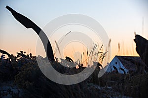 Anchor Graveyard at Praia do Barril, Tavira, Algarve, Portugal