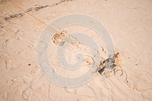 Anchor on the sand