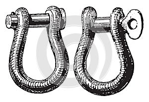 Anchor Shackles, vintage illustration