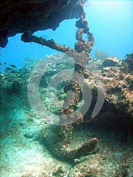 Anchor from ship wreck