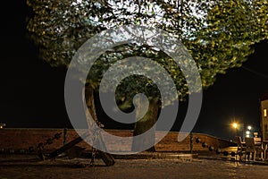 Anchor, wall and a lamp inside the tree