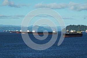 Anchored bulk cargo vessels observed from merchant container ship sailing through Columbia river, Oregoni