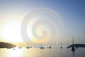 Anchored sailboats at open sea