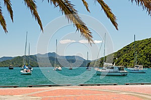 Anchored yachts in Picton, New Zealand photo