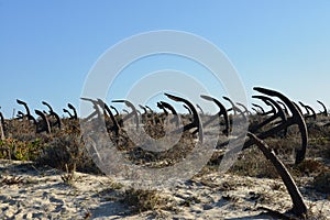 The anchors graveyard in Barril beach, Portugal