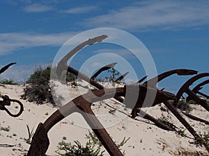 Anchors In Sand At Praia Do Barril Tavira Portugal
