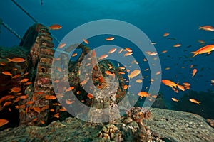 Anchorwinch of the Thistlegorm