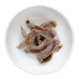 Anchovies Isolated photo