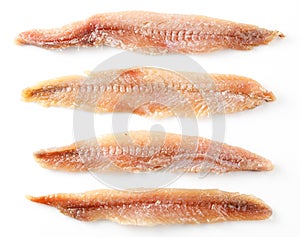 Anchovy. Fillet isolated on white photo