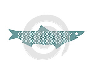 Anchovy icon isolated. small shoaling fish sign. Vector illustration photo