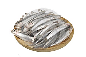 Anchovy