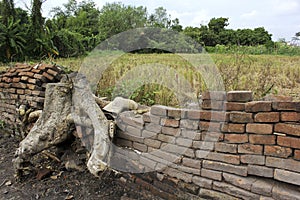 Anciant brick wall in the green field