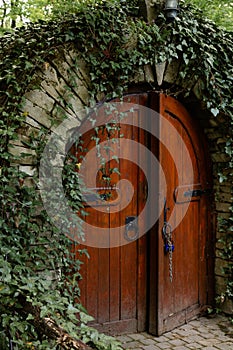 Anciant cellar door with ivy plant, Moldova