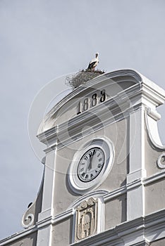 Ancien building facade with stork nest