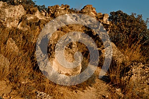 ancien yellow sandy stones on cliff of Fiolent with dry grass and bushes on Black Sea coast in the light of sunset