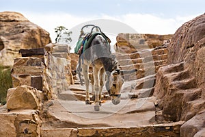 Ancient abandoned rock city of Petra in Jordan