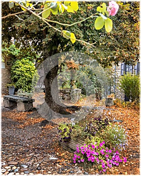 An ancient abandoned well decorating with flowers in medieval village Perouges, France