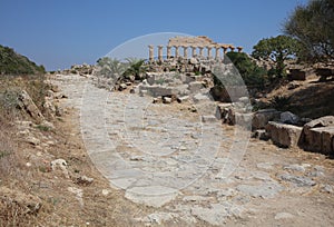 The ancient Acropolis at Selinunte. Sicily